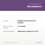 Вербена Lanai Lavender Star (срезы 5 шт) — как укоренить черенок