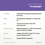 Вербена Lanai Twister Blue (0,1л) — что приедет