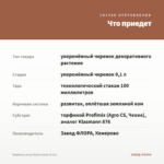 Вербена Lascar Black Velvet (0,1л) — что приедет
