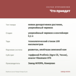 Вербена Lascar Mango Orange (0,1л) — что приедет
