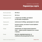 Вербена Lascar Mango Orange (0,1л) — параметры сорта