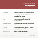 Вербена Lascar Mango Orange (0,1л) — что приедет
