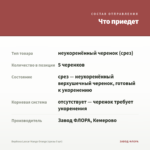 Вербена Lascar Mango Orange (срезы 5 шт) — что приедет