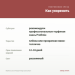 Вербена Lascar Mango Orange (срезы/5шт) — как укоренить черенок