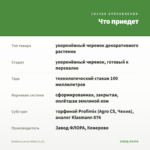 Вербена Lascar White (0,1л) — что приедет