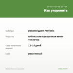 Вербена Лимонная (срезы/5шт) — как укоренить черенок