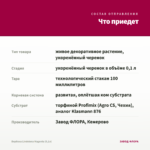 Вербена Lindolena Magenta (0,1л) — что приедет