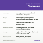 Вербена Lindolena Purple Eye (0,1л) — что приедет