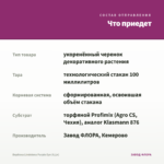 Вербена Lindolena Purple Eye (0,1л) — что приедет