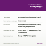 Вербена Lindolena Purple Eye (срезы 5 шт) — что приедет