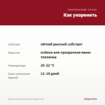 Вербена Samira Deep Red Star (срезы 5 шт) — как укоренить черенок
