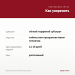 Вербена Samira Deep Red Star (срезы/5шт) — как укоренить черенок