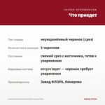 Вербена Samira Deep Red Star (срезы/5шт) — что приедет