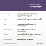 Вербена Vanessa Bicolor Indigo (0,1л) — что приедет