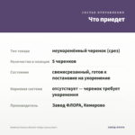 Вербена Vanessa Bicolor Indigo (срезы/5шт) — что приедет