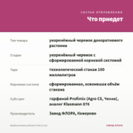 Вербена Vanessa Bicolor Pink (0,1л) — что приедет