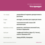Вербена Vanessa Bicolor Pink (0,1л) — что приедет