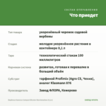 Вербена Vanessa Compact Bicolor Marshmallow (0,1л) — что приедет