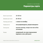 Вербена Vanessa Compact Bicolor Purple (0,1л) — параметры сорта