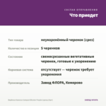 Вербена Vanessa Compact Bicolor Purple (срезы/5шт) — что приедет