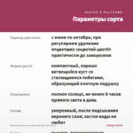 Вербена Vanessa Compact Bicolor Red (0,1л) — параметры сорта
