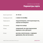 Вербена Vanessa Compact Bicolor Rose (0,1л) — параметры сорта