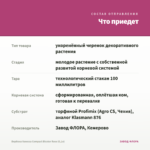 Вербена Vanessa Compact Bicolor Rose (0,1л) — что приедет