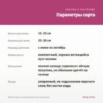 Вербена Vanessa Compact Bicolor Rose (срезы/5шт) — параметры сорта