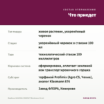 Вербена VANESSA COMPACT Bordeaux (0,1л) — что приедет