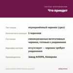 Вербена VANESSA COMPACT Bordeaux (срезы/5шт) — что приедет
