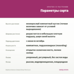 Вербена Vanessa Compact Deep Pink (0,1л) — параметры сорта