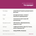 Вербена Vanessa Compact Deep Pink (0,1л) — что приедет