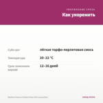 Вербена Vanessa Compact Deep Pink (срезы/5шт) — как укоренить черенок