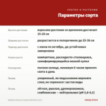 Вербена Vanessa Compact Hot Red (0,1л) — параметры сорта