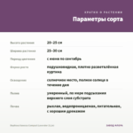 Вербена Vanessa Compact Lavender (0,1л) — параметры сорта