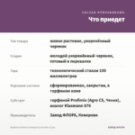 Вербена Vanessa Compact Lavender (0,1л) — что приедет