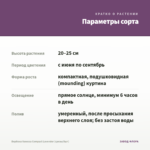 Вербена Vanessa Compact Lavender (срезы/5шт) — параметры сорта