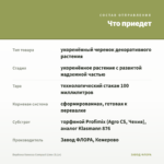 Вербена Vanessa Compact Lime (0,1л) — что приедет