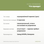 Вербена Vanessa Compact Lime (срезы/5 шт) — что приедет