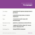 Вербена Vanessa Compact Optik Lavender (0,1л) — что приедет