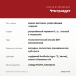 Вербена Vanessa Compact Red (0,1л) — что приедет
