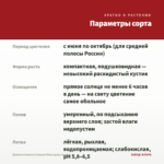 Вербена Vanessa Compact Red (срезы/5шт) — параметры сорта