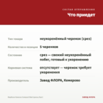 Вербена Vanessa Compact Red (срезы/5шт) — что приедет
