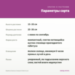 Вербена Vanessa Compact Violet (0,1л) — параметры сорта