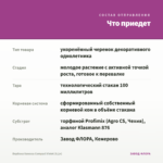 Вербена Vanessa Compact Violet (0,1л) — что приедет