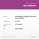 Вербена Vanessa Compact Violet (срезы/5шт) — как укоренить черенок
