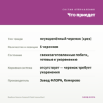 Вербена Vanessa Compact Violet (срезы/5шт) — что приедет