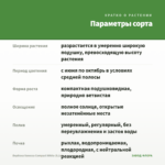 Вербена Vanessa Compact White (0,1л) — параметры сорта