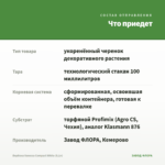 Вербена Vanessa Compact White (0,1л) — что приедет