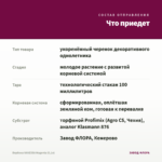 Вербена VANESSA Magenta (0,1л) — что приедет